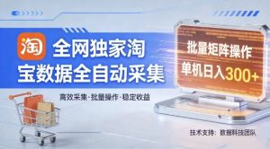 全网独家，淘宝数据全自动采集项目，批量可矩阵，单机轻松日入300【揭秘】-第一资源库