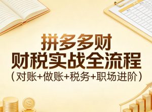 拼多多财税实战全流程（对账+做账+税务+职场进阶）-第一资源库
