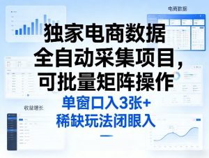 独家电商数据全自动采集项目，可批量矩阵操作，单窗口日入3张+，稀缺玩法闭眼入【揭秘】-第一资源库