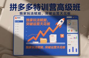 拼多多特训营高阶班,独家玩法赋能,突破运营天花板(更新26年3月13日)-第一资源库