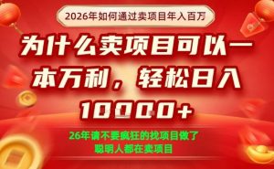 一单净利润1K+，26年想年入100个W，死磕卖项目就够了【揭秘】-第一资源库