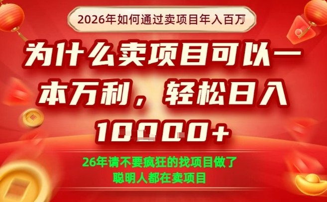 一单净利润1K+，26年想年入100个W，死磕卖项目就够了【揭秘】-第一资源库