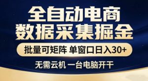 独家电商数据全自动采集项目，批量可矩阵，单窗口轻松日入3张+【揭秘】-第一资源库
