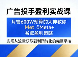 广告投手盈利实战课,月管600W预算的大神教你Meta+谷歌盈利策略,实现从流量获取到利润转化的完整掌控-第一资源库
