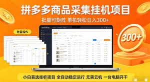 拼多多商品信息全自动采集项目,批量可矩阵,单机轻松日入300+,无需云机一台电脑开干【揭秘】-第一资源库