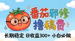 番茄撸金术:日入300+稳如泰山!独家玩法曝光,操作门槛极低,无需经验,小白闭眼上车【揭秘】-第一资源库