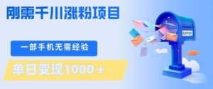 刚需千川涨粉项目,一部手机无需技术,单日变现1k+,当天做当天见收益【揭秘】-第一资源库