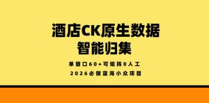 酒店CK原生数据智能归集，单窗口60+可矩阵0人工，2026必做蓝海小众项目【揭秘】-第一资源库