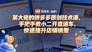 某大佬的拼多多原创技术课，手把手教小二开直通车，快速提升店铺销量-第一资源库