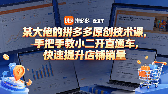 某大佬的拼多多原创技术课，手把手教小二开直通车，快速提升店铺销量-第一资源库