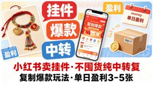 小红书卖挂件，不囤货纯中转复制爆款玩法，单日盈利3-5张-第一资源库