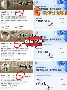 抖音17W粉丝博主亲授AI作图实战教学，0基础轻松学，可入创作者伙伴计划，接单收徒双增收-第一资源库