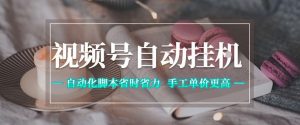 视频号自动挂G项目,自动化脚本省时省力,手工单价更高,日入300+全网最稳【揭秘】-第一资源库
