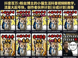 抖音百万粉丝博主的小猫生活科普视频教学,流量大起号快,创作者伙伴计划|分成计划|商单|收徒等-第一资源库