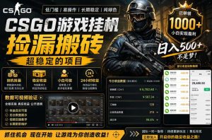 CSGO游戏搬砖，全自动挂G，不需要玩游戏，手机操作日入300+，解放双手【揭秘】-第一资源库