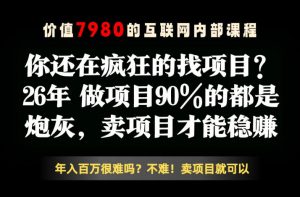 26年请不要疯狂的找项目了，卖项目远比你想象的暴利，你也可以月入10W+【揭秘】-第一资源库
