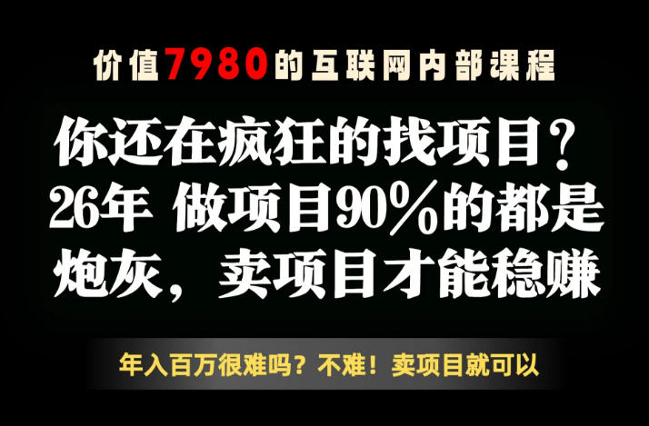 26年请不要疯狂的找项目了，卖项目远比你想象的暴利，你也可以月入10W+【揭秘】-第一资源库