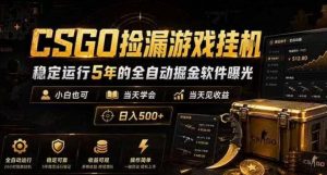 CSGO捡漏游戏挂G，稳定运行5年的全自动掘金软件曝光，小白也可当天学会，当天见收益，日入500+【揭秘】-第一资源库
