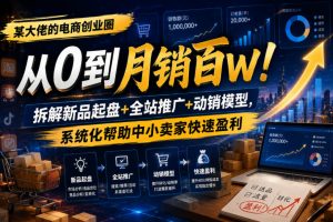 某大佬的电商创业圈从0到月销百W！拆解新品起盘+全站推广+动销模型，系统化帮助中小卖家快速盈利-第一资源库