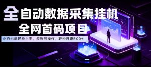 全自动数据采集挂G，全网首码项目，简单易操作，小白也能轻松上手，多账号操作，轻松日入500+【揭秘】-第一资源库