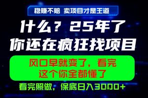 26年,请不要疯狂的找项目做了!卖项目才是真的稳賺不赔,看完照做,保底日入1k+【揭秘】-第一资源库
