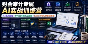 财会审计专属AI实战训练营｜AI协同编程+Python审计工具箱+Excel VBA加载项落地-第一资源库