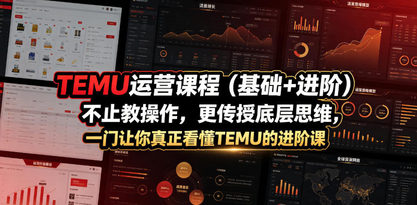 TEMU运营课程（基础+进阶），不止教操作，更传授底层思维，一门让你真正看懂TEMU的进阶课-第一资源库