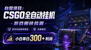 自营项目：CSGO全自动挂G，游戏搬砖捡漏，软件科技简单易用，长期稳定，小白单日300+利润【揭秘】-第一资源库