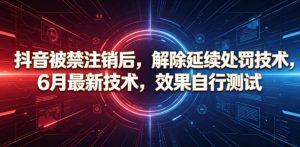 抖音58W粉丝博主的AI温情短剧玩法,条条爆款,伙伴计划+精选独家收益,商单收徒等-第一资源库