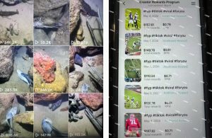 Tiktok中视频解说教程，体育+温情文案双赛道实操教程一站式带你落地，教你出海賺美刀-第一资源库