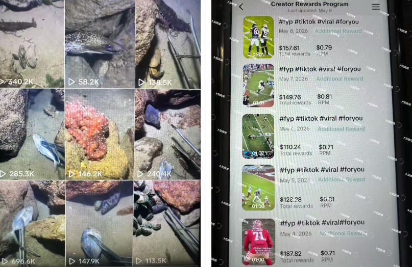 Tiktok中视频解说教程，体育+温情文案双赛道实操教程一站式带你落地，教你出海賺美刀-第一资源库