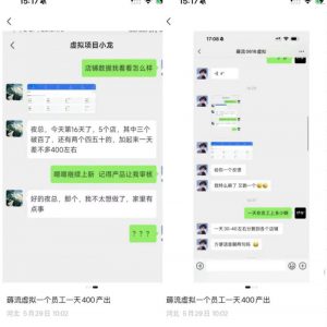 薅流虚拟2.0陪跑课,0成本AI流程化操作,淘宝+闲鱼同步玩法,上一次货两个平台有收益,单店每天200纯利润-第一资源库