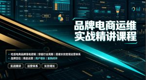 品牌电商运维实战精讲课程|吃透电商品牌落地逻辑、穿越行业周期、搭建长效变现运营体系-第一资源库
