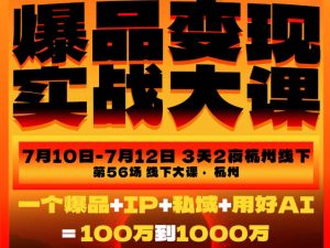 爆品变现实战大课,从爆品,到流量,到成交,一个爆品+IP+私域+用好AI=100W到1000W(7月10-12日)-第一资源库