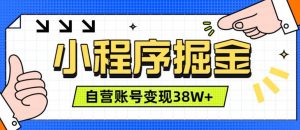 微信小程序掘金,团队自营小程序累计变现38W+,稳定运营三年,一部手机即可操作【揭秘】-第一资源库