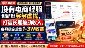 没有电商经验也能做多多虚拟,打造长期被动收入,每月稳定拿到1-3W收益【揭秘】-第一资源库