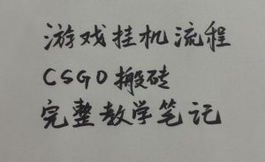 游戏挂G全流程笔记分享,CSGO游戏搬砖,小白看了当天学会见收益【揭秘】-第一资源库