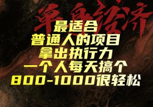 最适合普通人的项目，拿出执行力一个人每天搞个800-1k很轻松【揭秘】-第一资源库