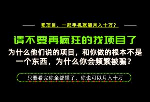 为什么做项目的人大多都是炮灰？为什么只有卖项目才能稳？看完你也可以月入10W+【揭秘】-第一资源库