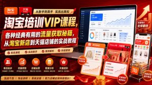 淘宝培训VIP课程,各种经典有用的流量获取秘籍,从淘宝新店到天猫店铺的实战教程(更新08月12日)-第一资源库