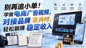 别再追小单！学做电商广告视频，对接品牌拿月付，轻松躺賺稳定收入【原创双语字幕】-第一资源库