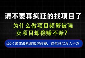 找项目？别傻了！卖项目才是真的一本万利！看完你全都懂了【揭秘】-第一资源库