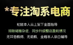 松鼠会电商VIP课程，从基础布局到高阶优化，助你掌握淘宝运营逻辑，提升店铺流量与转化（更新0823）-第一资源库