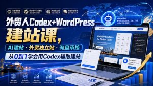 外贸人Codex+WordPress建站课,AI建站·外贸独立站·询盘承接,从0到1学会用Codex辅助建站(更新0810)-第一资源库