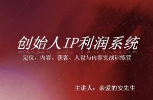 创始人IP利润系统8月训练营，定位、内容、获客、人设与内容实战训练营-第一资源库