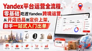 Yandex平台运营全流程,零基础吃透Yandex跨境运营,从开店选品到定价上架,新手一站式入门出单-第一资源库