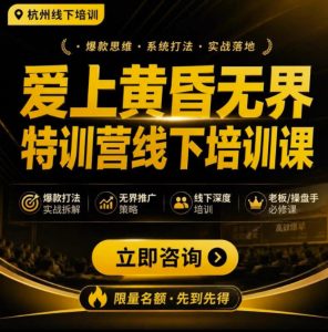 爱上黄昏无界特训营AI推广实战7月27-30杭州线下课,AI落地淘宝最完整的课程,学天猫淘宝的老板必看-第一资源库