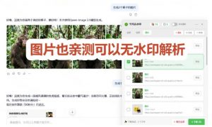 太香了！这款千问视频/图片去水印神器，一键搞定烦人水印，本地完全免费，浏览器拓展插件-第一资源库