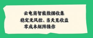 云电商智能数据收集,稳定无风控,当天做当天见收益,零成本矩阵操作【揭秘】-第一资源库