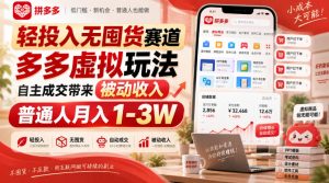 轻投入无囤货赛道，多多虚拟玩法自主成交带来被动收入，普通人月入1-3W-第一资源库